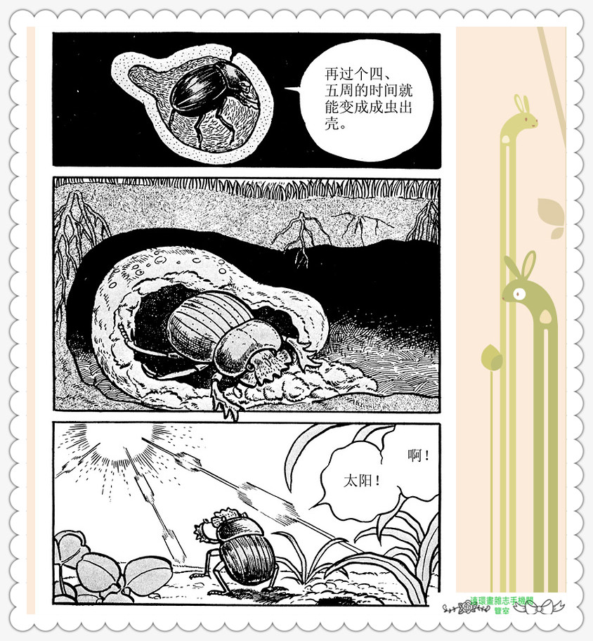 昆虫记法布尔动画片,昆虫记法布尔全套