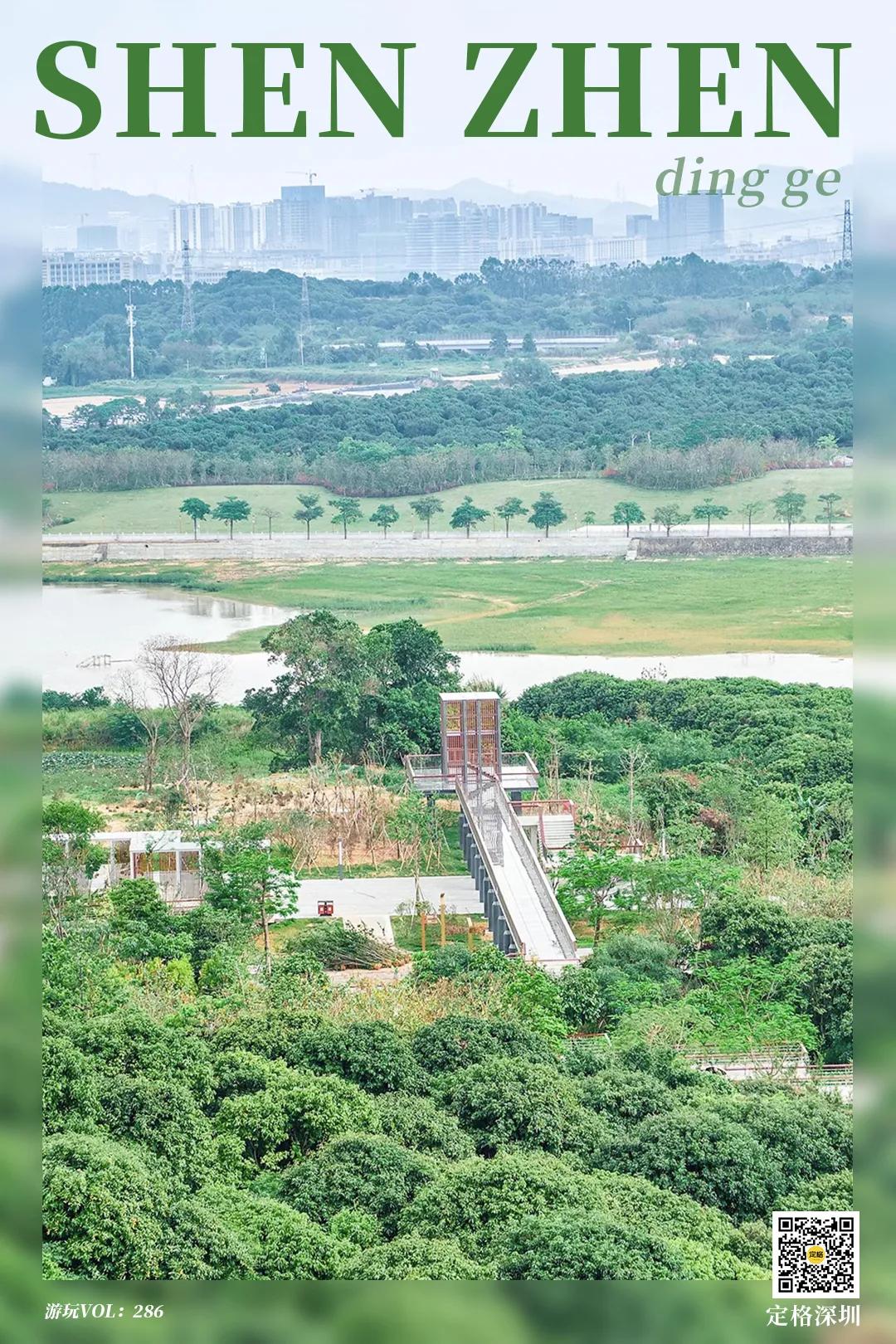 深圳西丽玻璃栈道,深圳海滨栈道重新开放