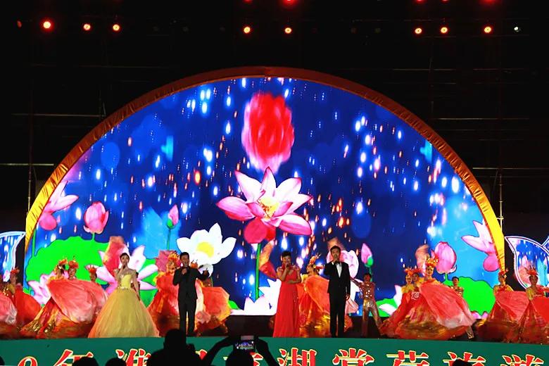 淮阳龙湖风景区荷花盛开,淮阳荷花风景区