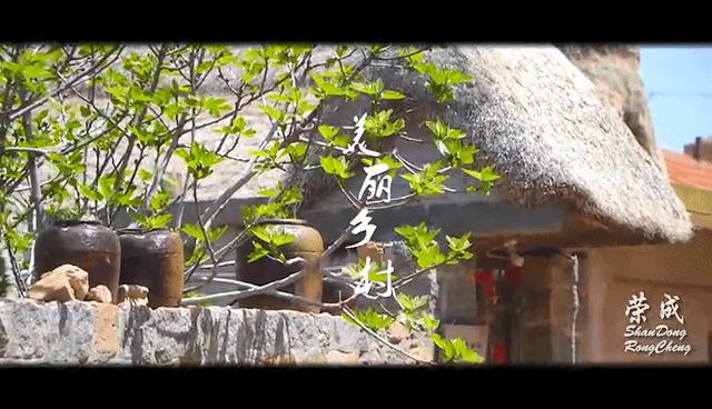 这是我的家乡全域旅游看荣成,全域旅游重点看什么