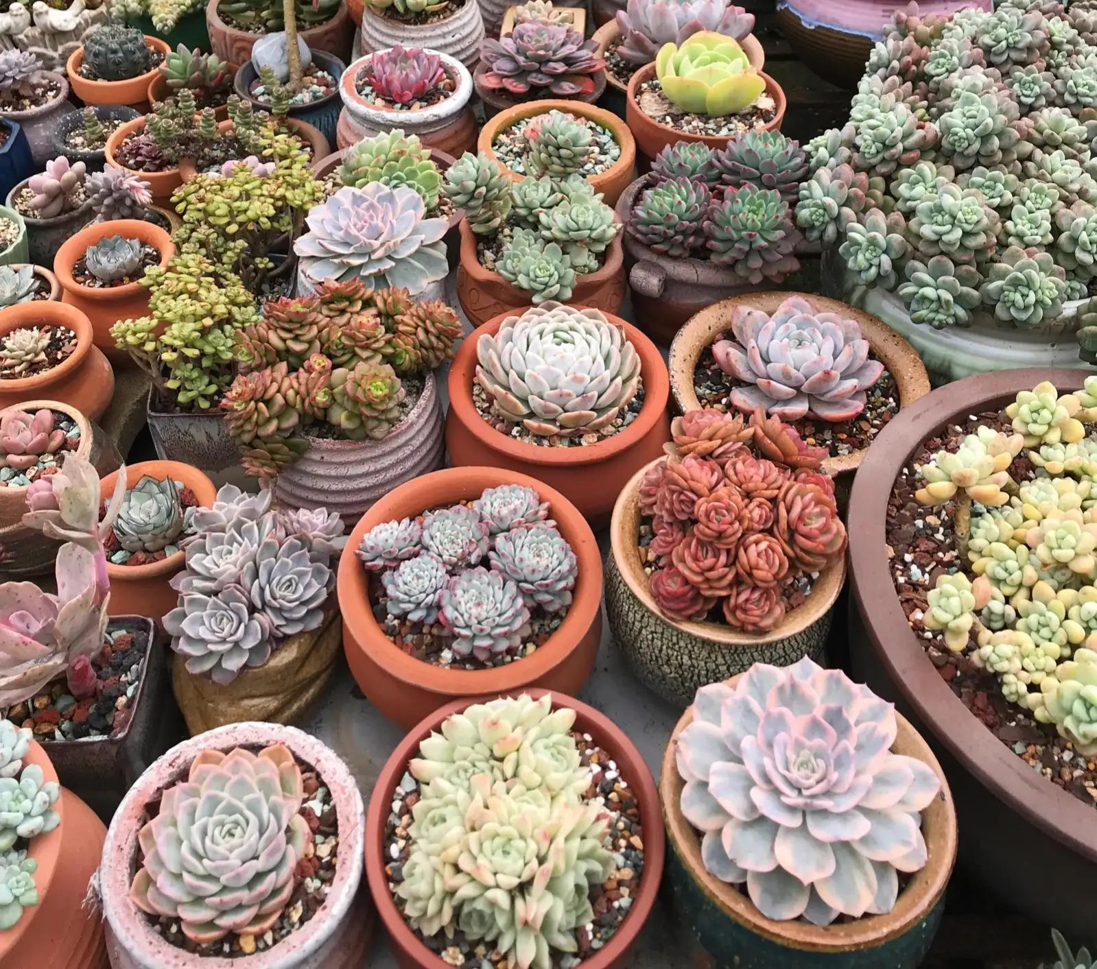 一千块做什么可以快速赚钱,现在有一千元做什么才能赚钱呢