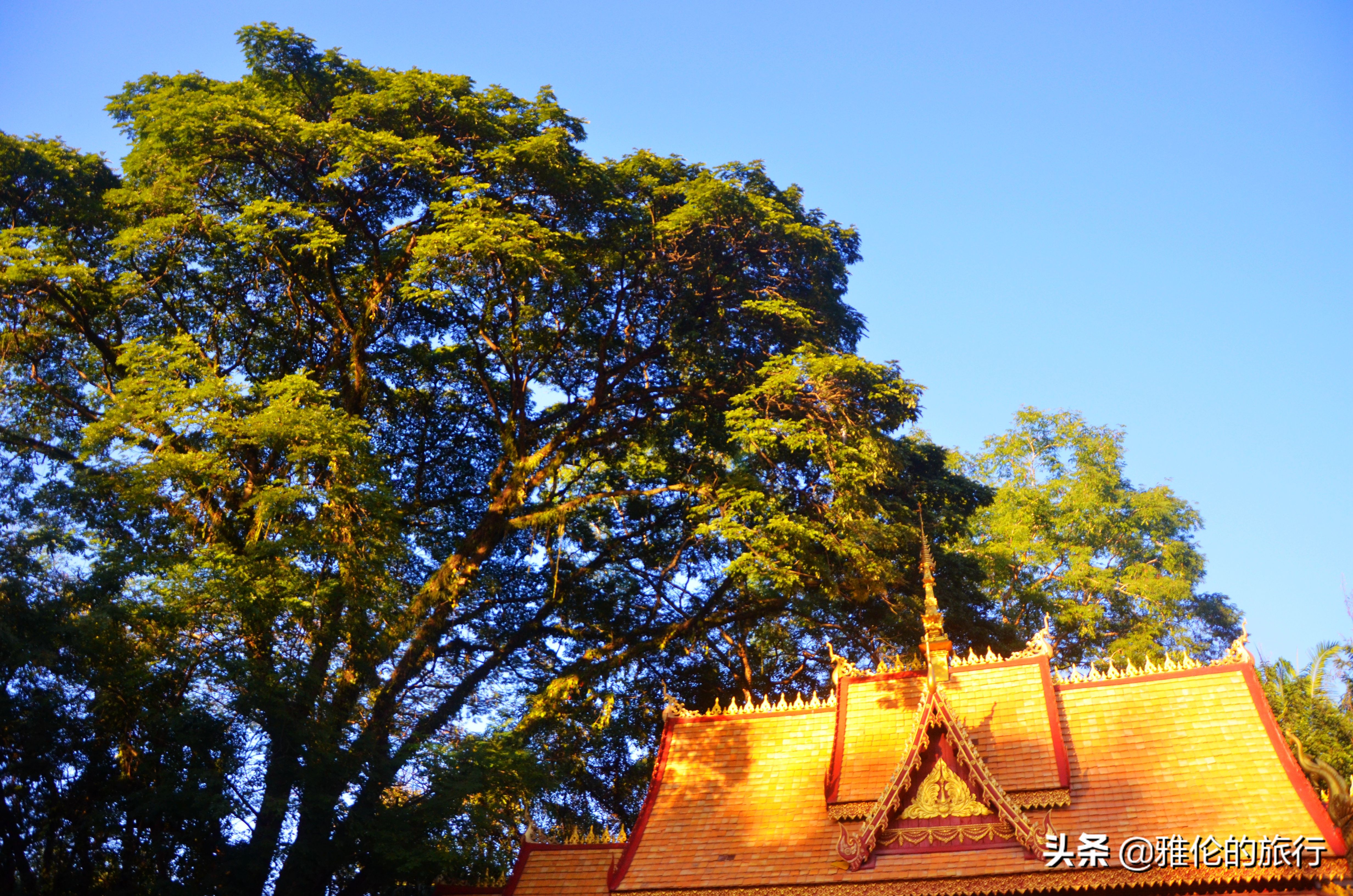 西双版纳傣王的后花园,傣王的御花园是谁修建的