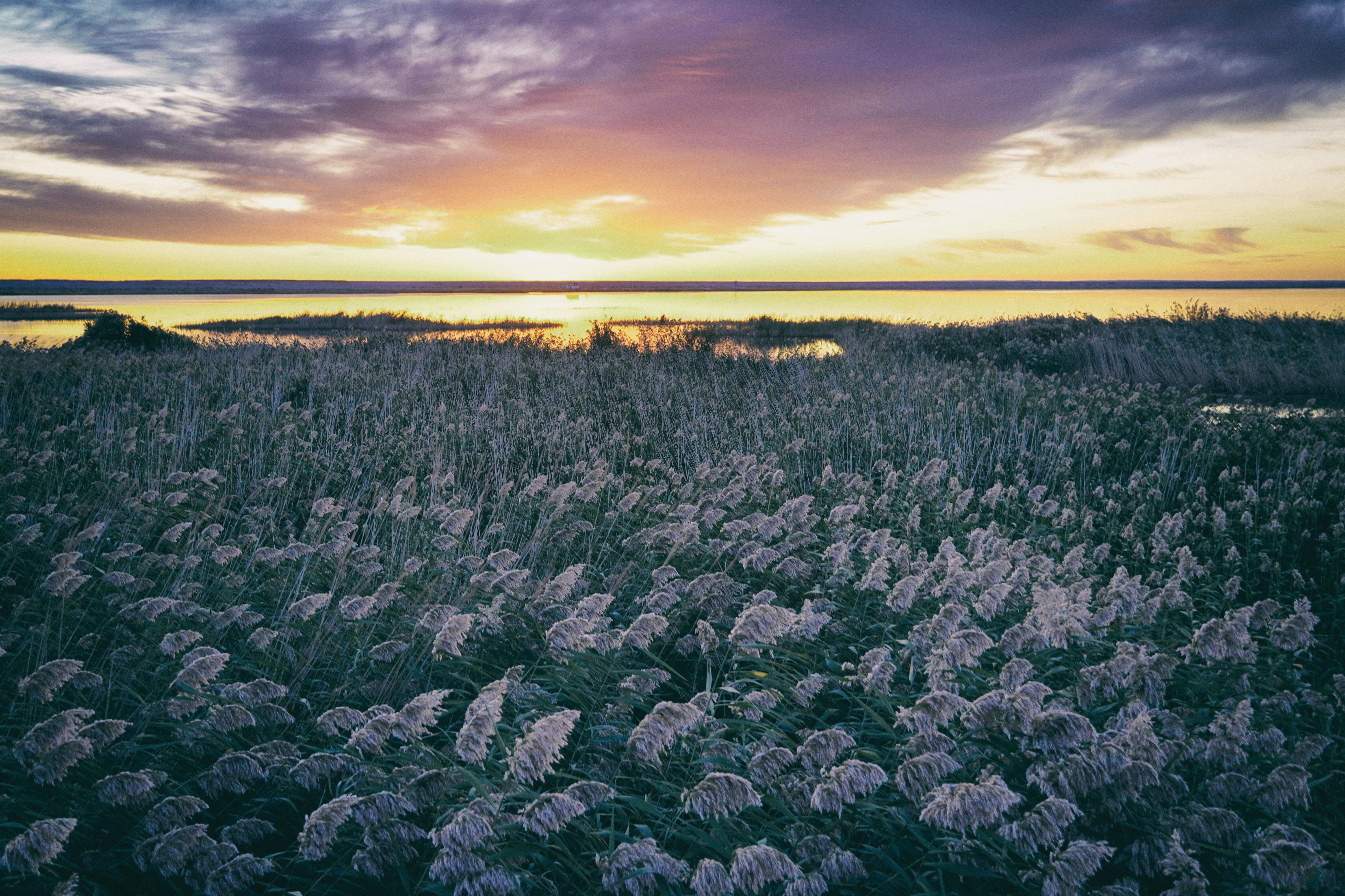 西北大环线自驾游全过程,西北大环线自驾游全攻略