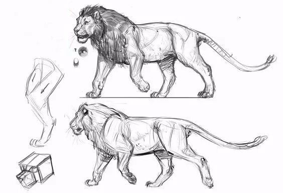 简笔画人物教程大全零基础成人,1000个适合零基础的简笔画教程