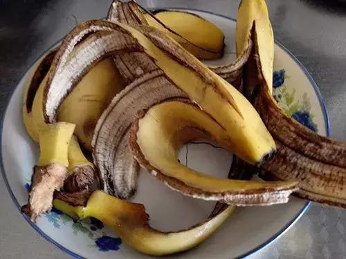 养花的盆要不要戳些洞,养花小知识小技巧大全图解