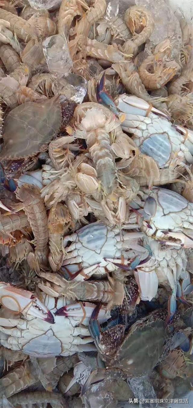 韩姐在乐亭农家最新视频,唐山乐亭韩姐农家院电话