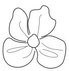 为改变而生为颠覆而来,为改变而生书籍