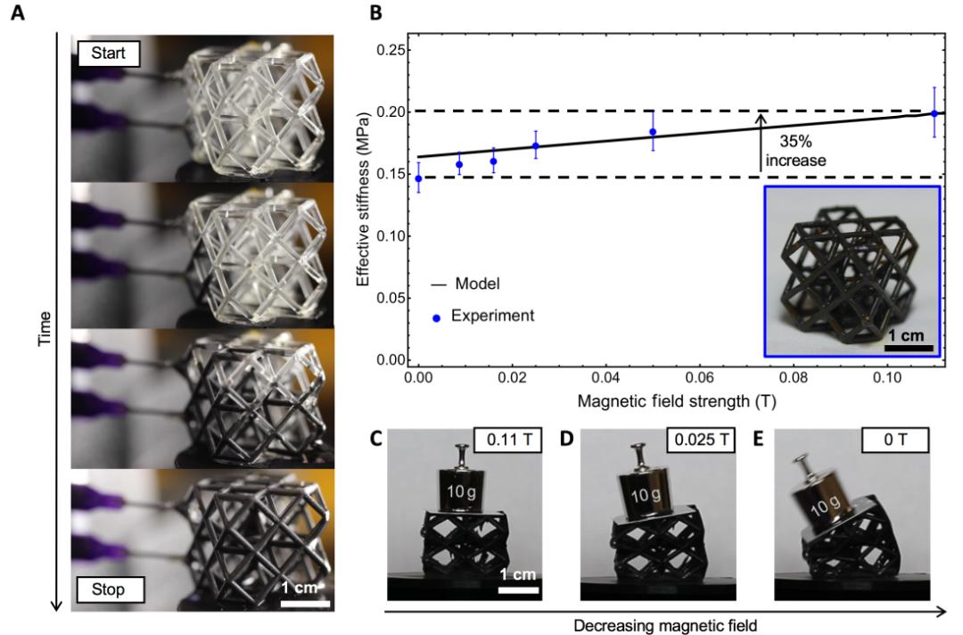 每日一问40问,每日一问第8集