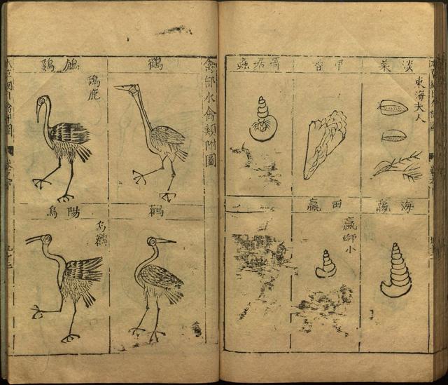 李时珍与本草纲目ppt课件,神农本草经正版李时珍书籍