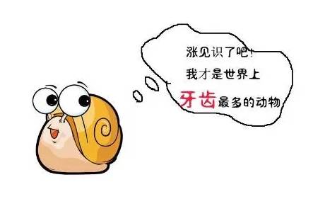 苹果园蜗牛防治有妙招,果树蜗牛病害防治