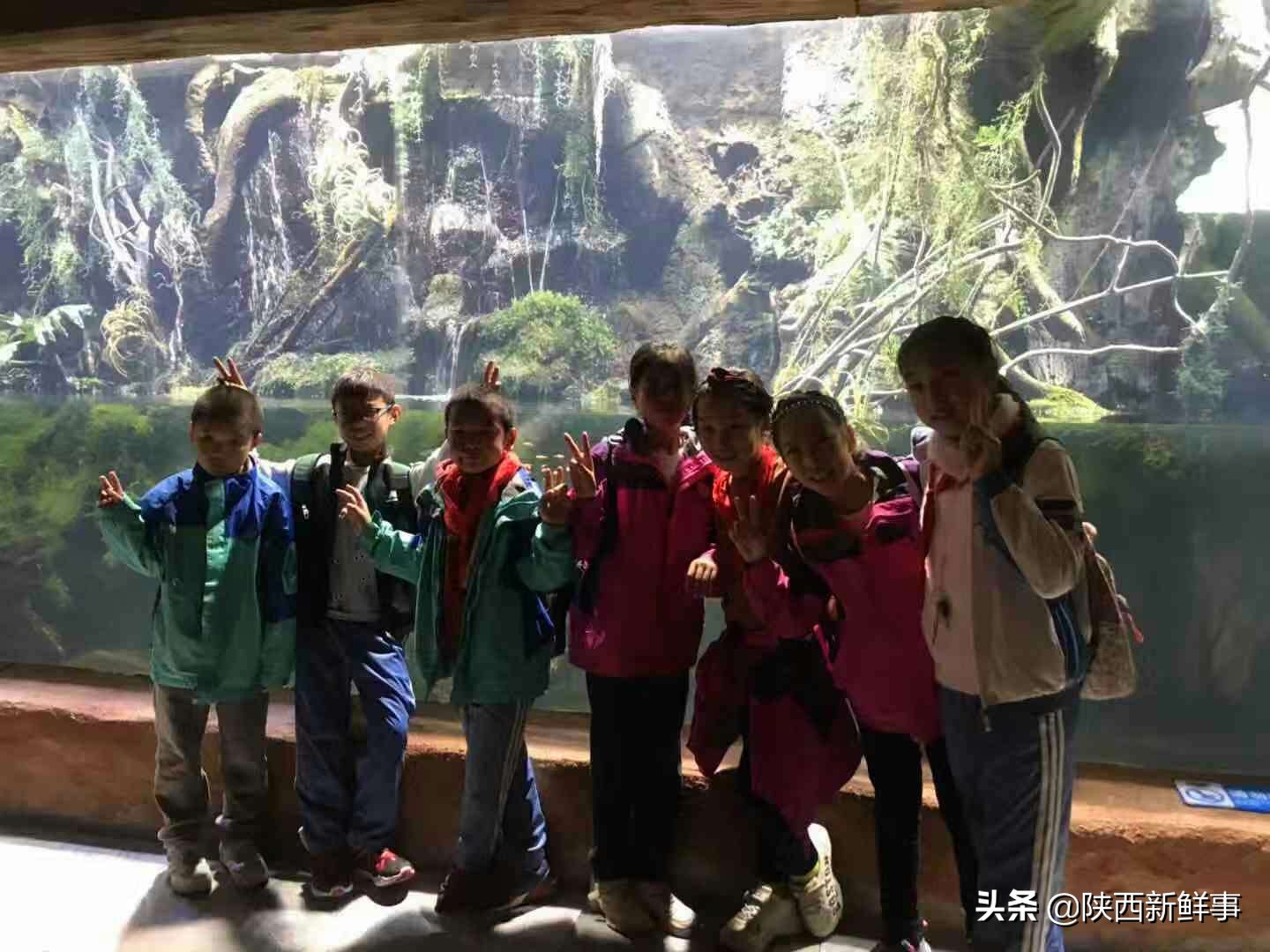 放飞海洋梦想感受丝路传奇手抄报,放飞海洋梦想感受丝路传奇研学题