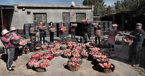 拼多多陈磊,拼多多陈磊毕业
