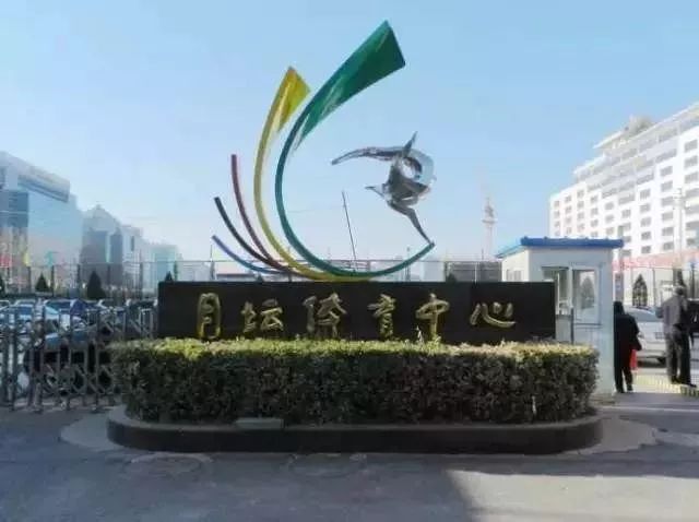 月坛银杏,月坛公园有银杏吗