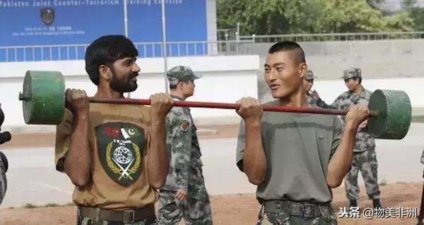 去了非洲才知道，人类才只是这个世界的过路者