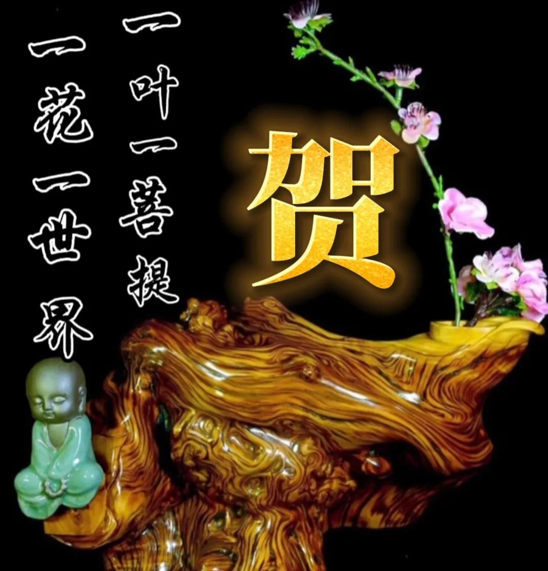 一花一世界一叶一菩提头像,一叶一菩提禅意微信头像