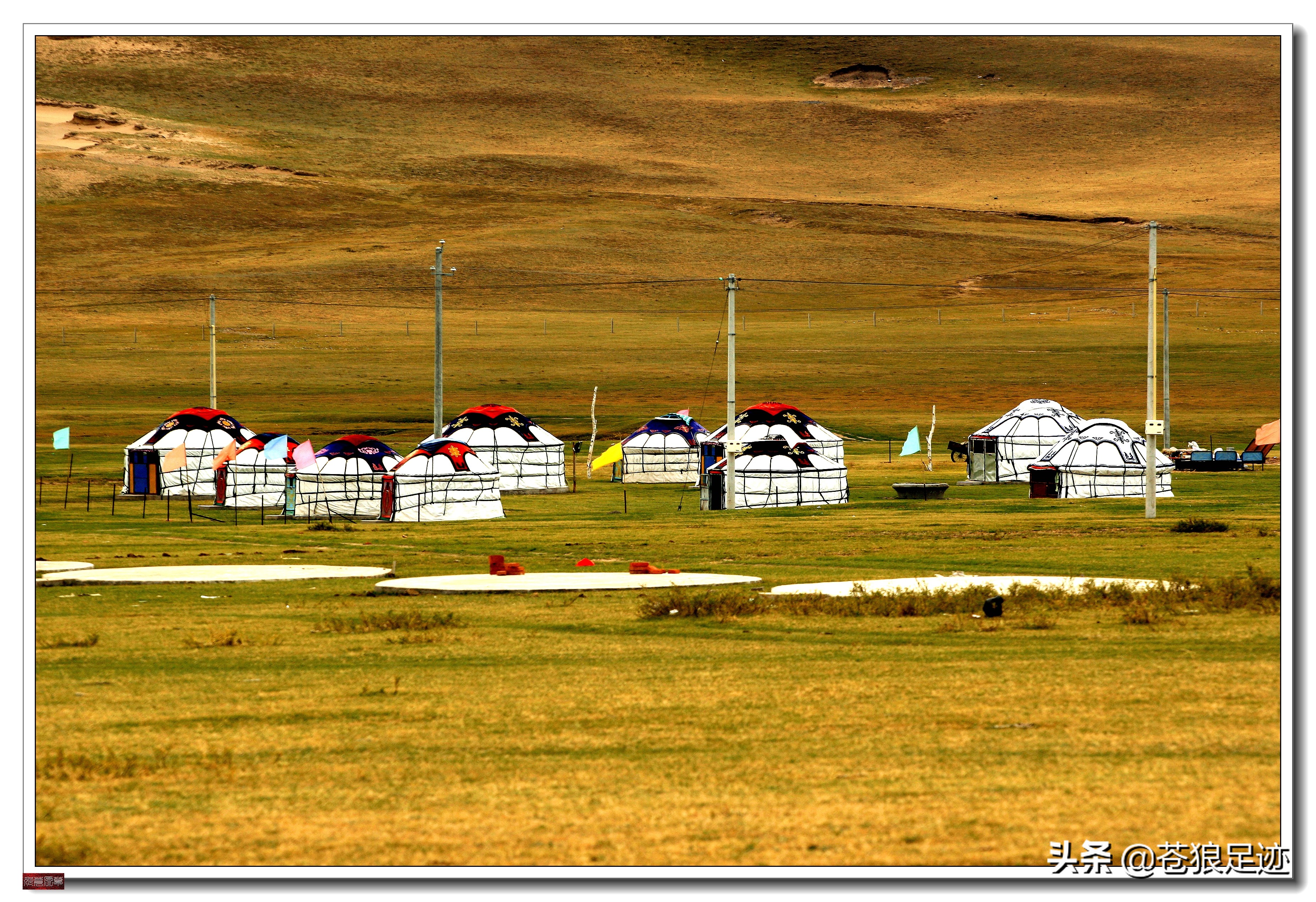 美丽的贡格尔草原风光无限,贡格尔草原上的牛羊的视频