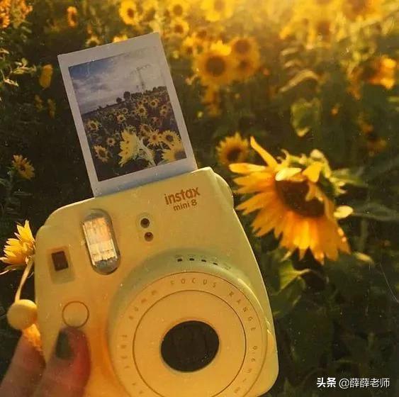 新老师去听课该怎么评价,新老师如何听观摩课