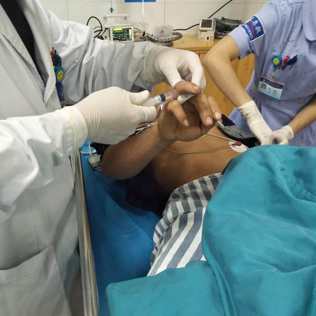 狗狗被眼镜蛇咬了怎么救治,狗狗被蛇咬伤后24小时后还会死吗