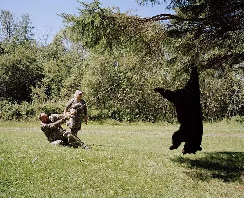 2018年世界金奖摄影作品,国际摄影大奖纯艺术摄影