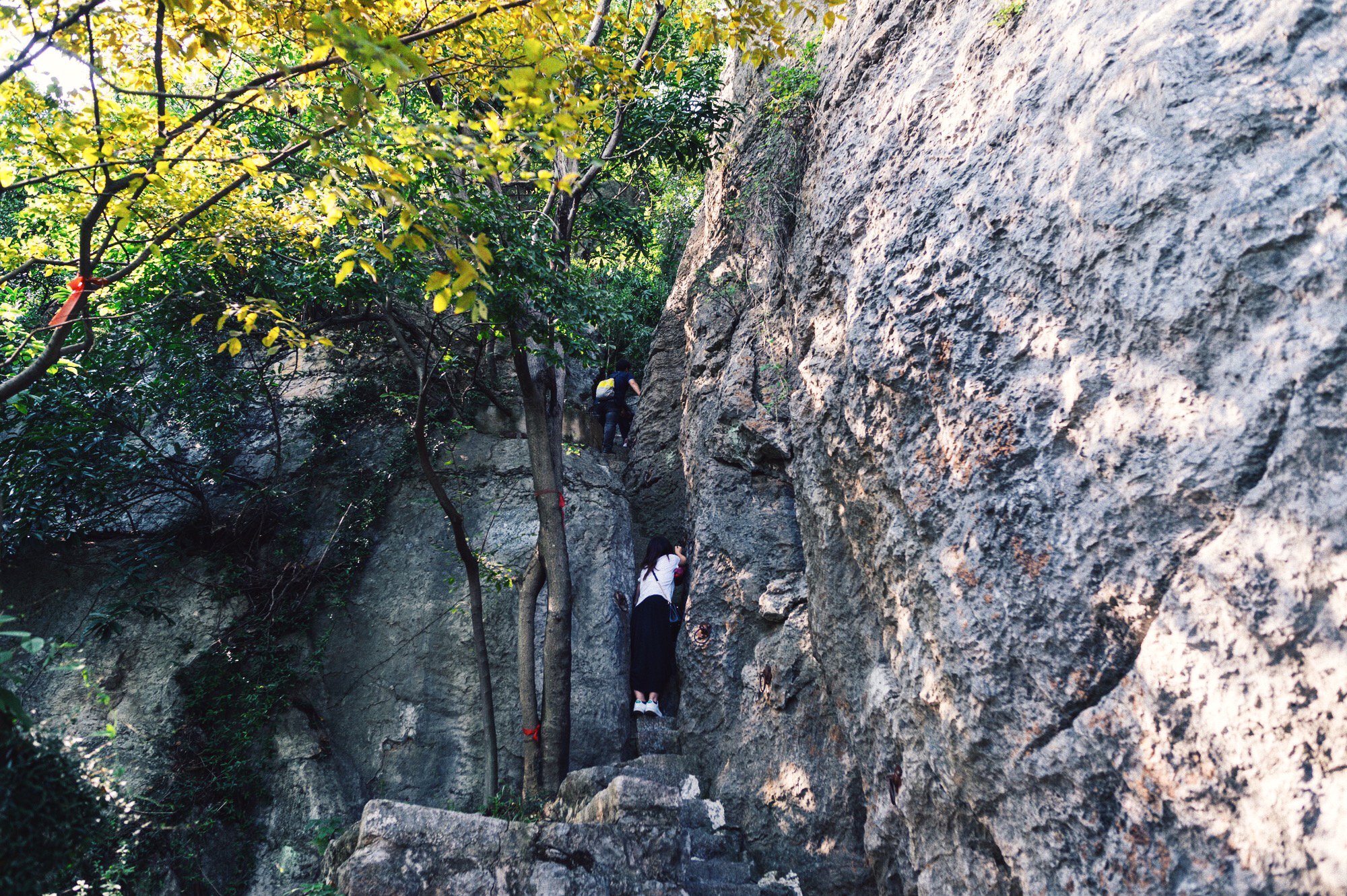 苏州太湖小众小岛,苏州被遗忘的太湖小岛