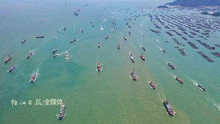 广东开海吃海鲜攻略,开海吃海鲜攻略