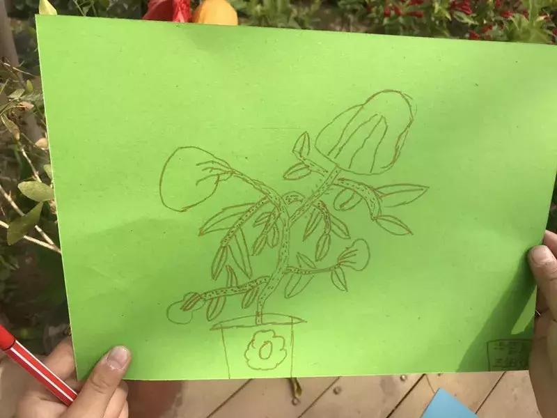 【益西户外营地教育】金川第六小学野狐湾自然研学营圆满结束！