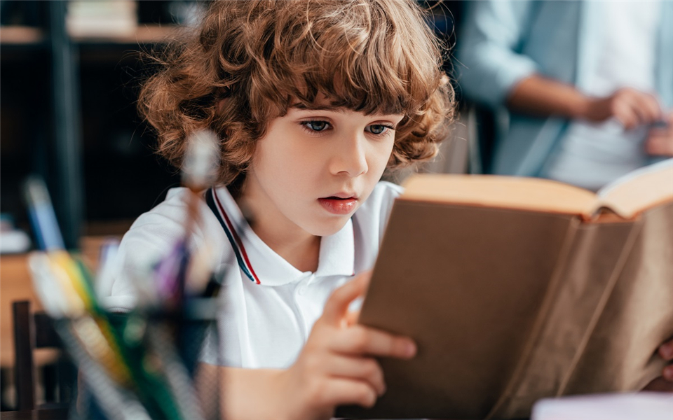 四年级语文下单元知识归纳,2019-2020四年级下册语文期末试卷