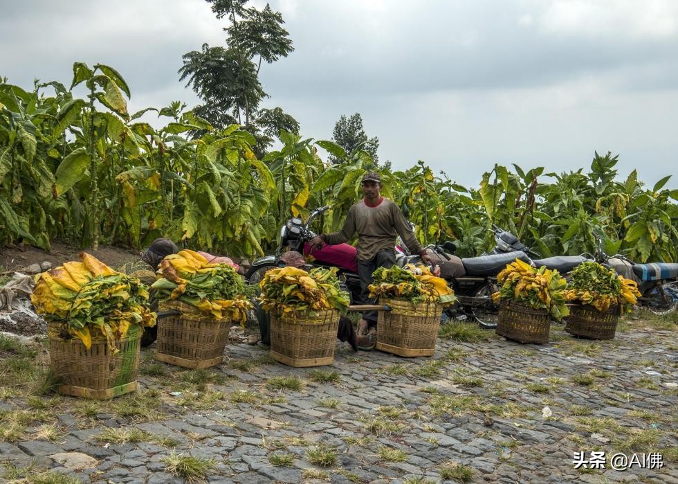 全球50个国家地区首富,全球最穷50个国家排行榜