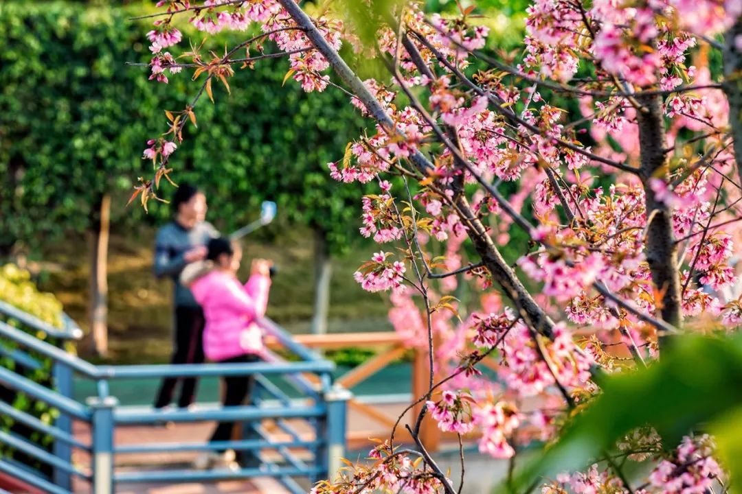 成都4天3夜旅游攻略,成都出发九寨沟川西四日小环线