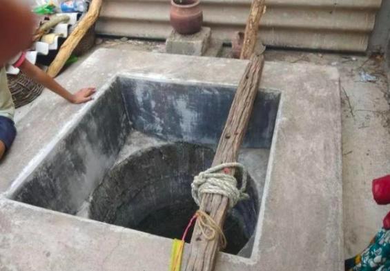 印度猴子泛滥成灾怎么处理,印度猴子泛滥成灾