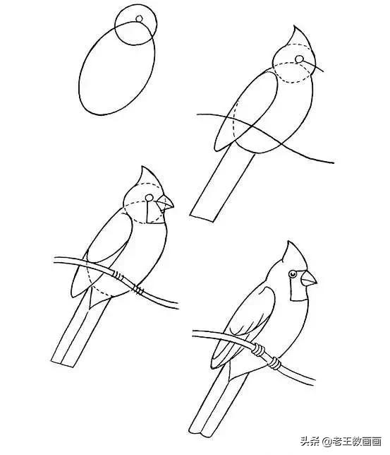 最简单的简笔画教程,超简单儿童简笔画入门初学