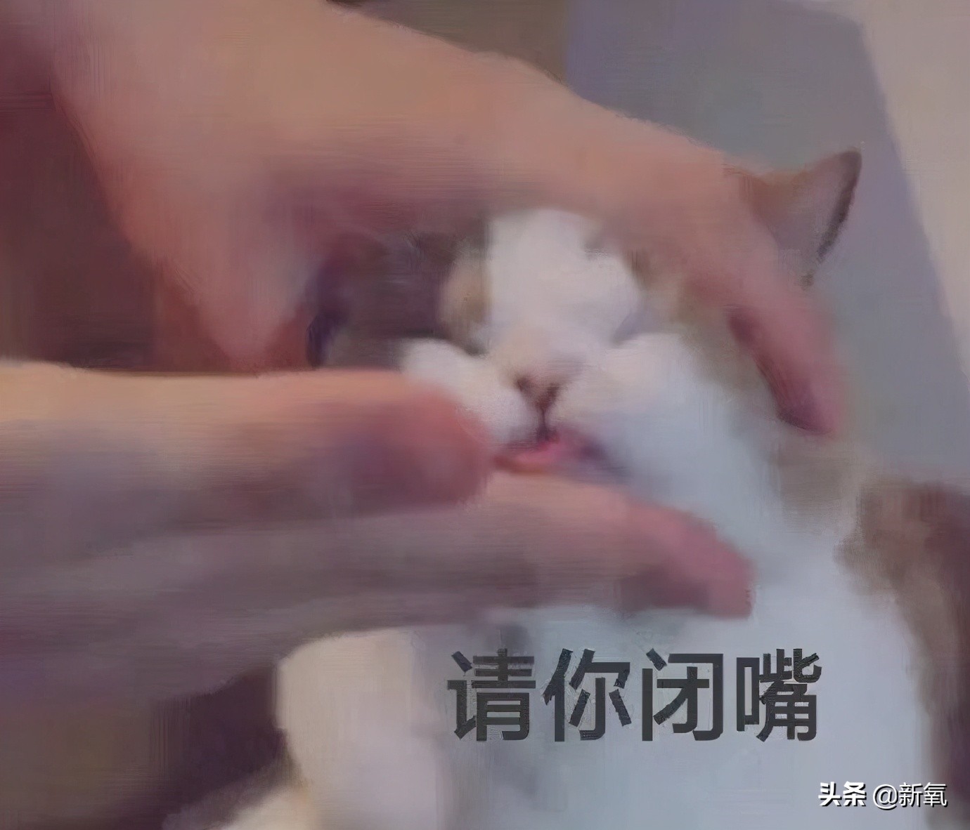 宋祖儿港风绝美照片,宋祖儿侧颜简直太美啦