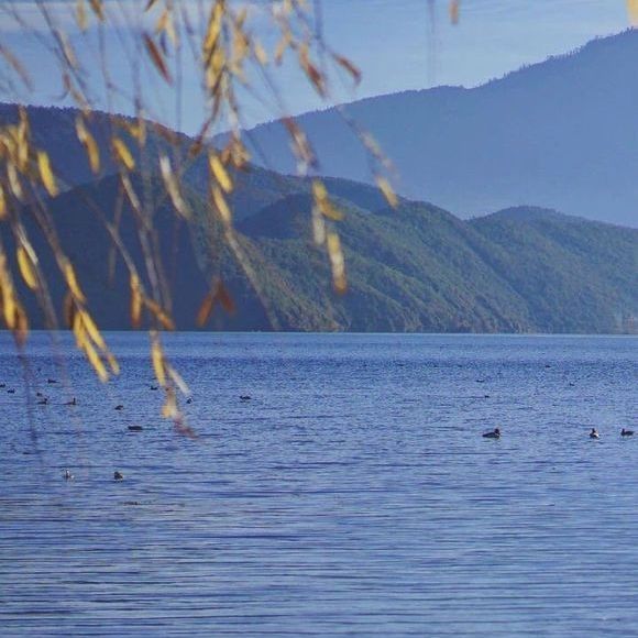 有趣的锁骨千篇一律,好看有趣的锁骨