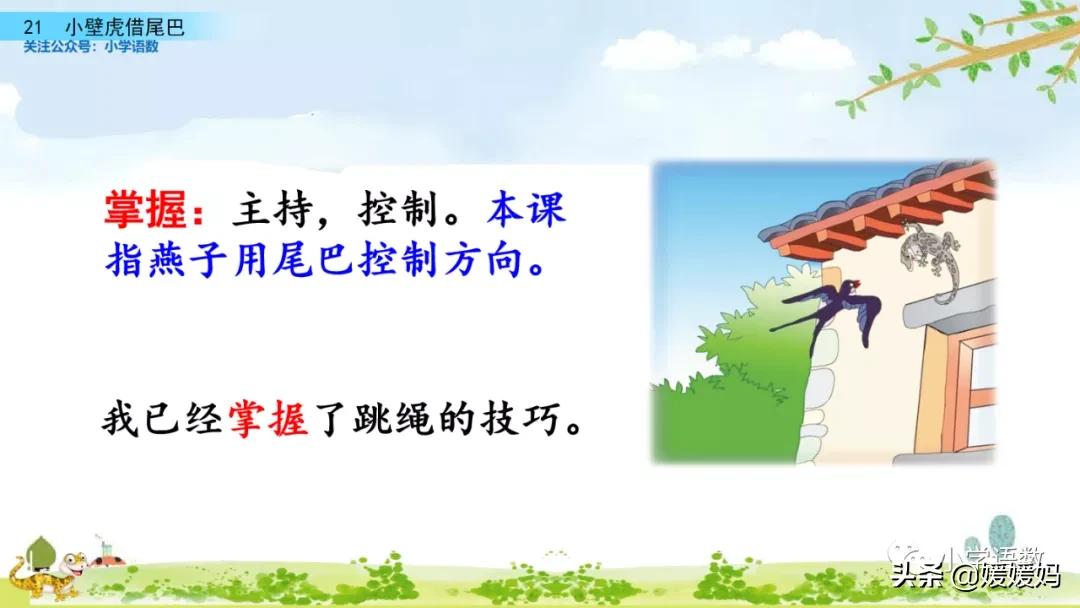 一年级小壁虎借尾巴原文图片,小壁虎借尾巴优质课一等奖