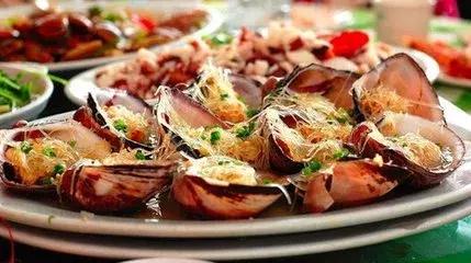 与海洋生物一起旅游,与海洋生物同游