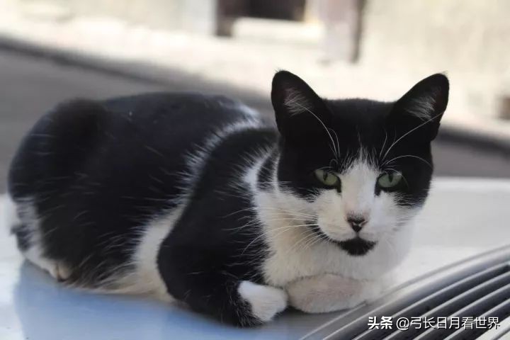 那又怎样，先干了这杯酒