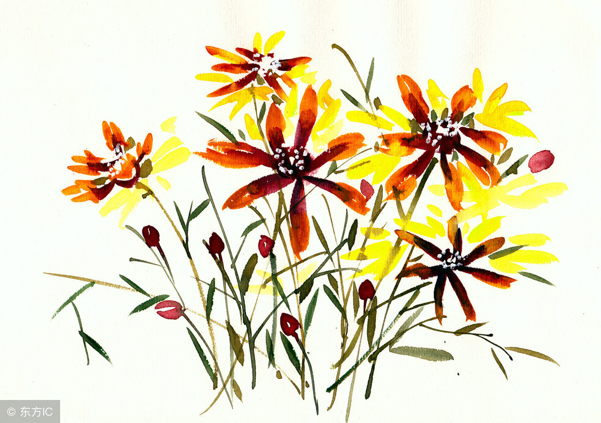 成语接龙大全值得收藏,史上最全最好玩的成语接龙