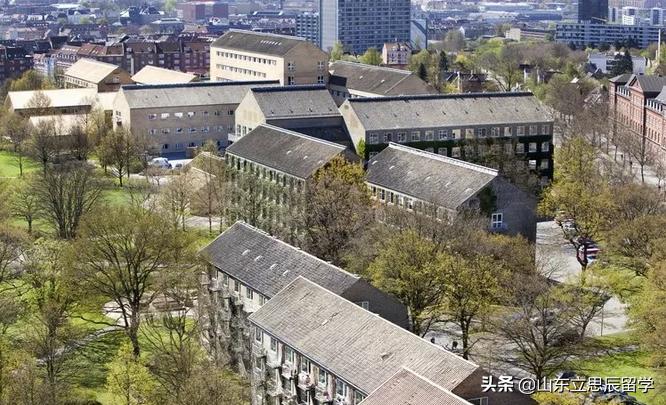 奥胡斯大学毕业,奥胡斯大学在哪