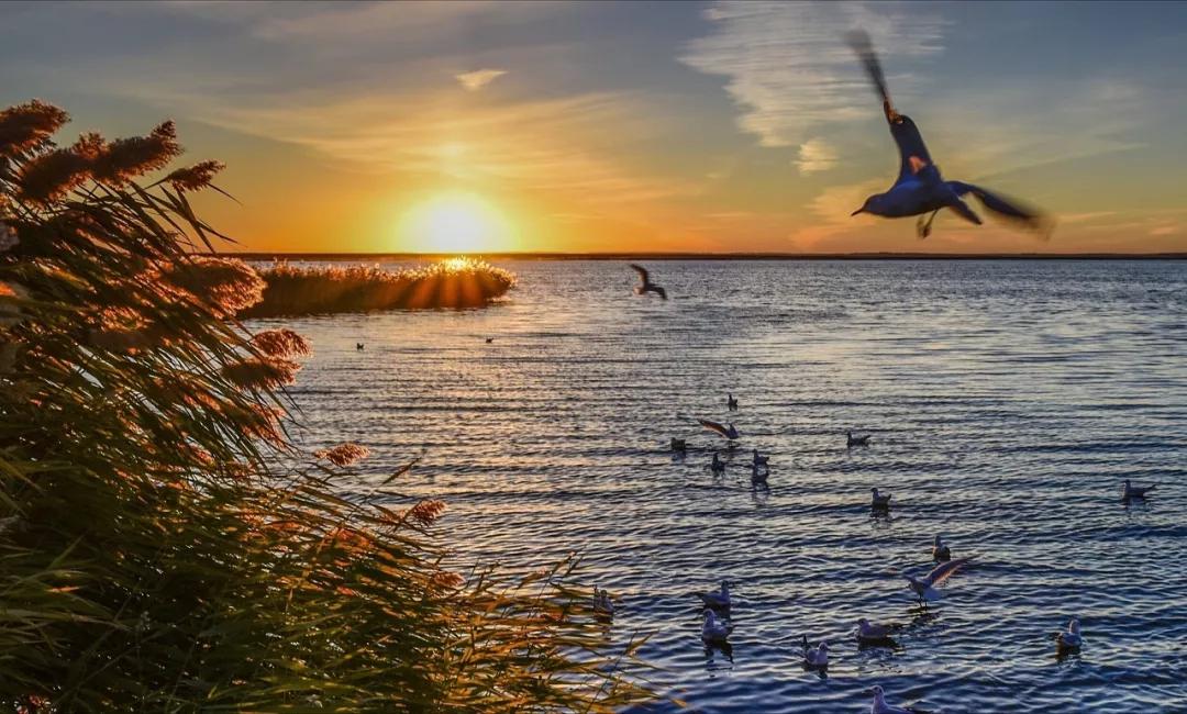 10个适合一个人去的小众旅行地,人少景美的小众旅行地夏季