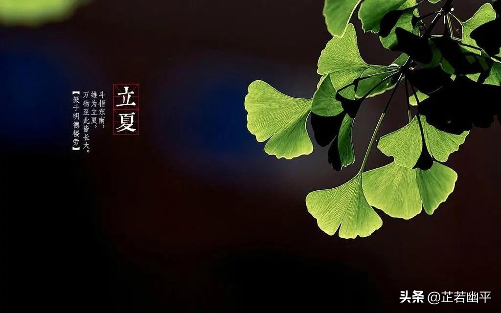 立夏|春红散尽，绿意盈然