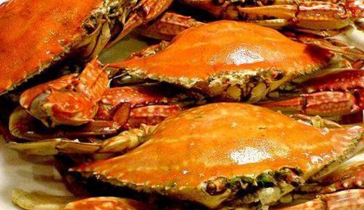 舌尖上的日照美食视频,舌尖上的山东旅游攻略