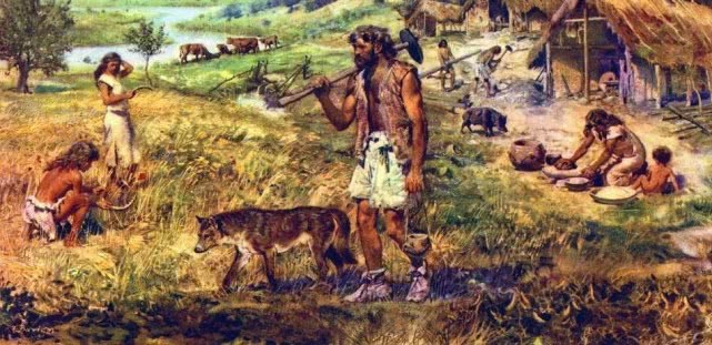 狗狗是如何驯化的,狗狗怎么被驯化的