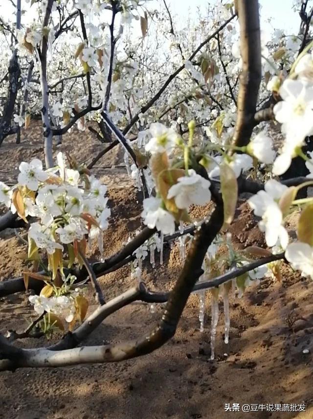 陕西商洛下冰雹视频,商洛市发布冰雹橙色预警
