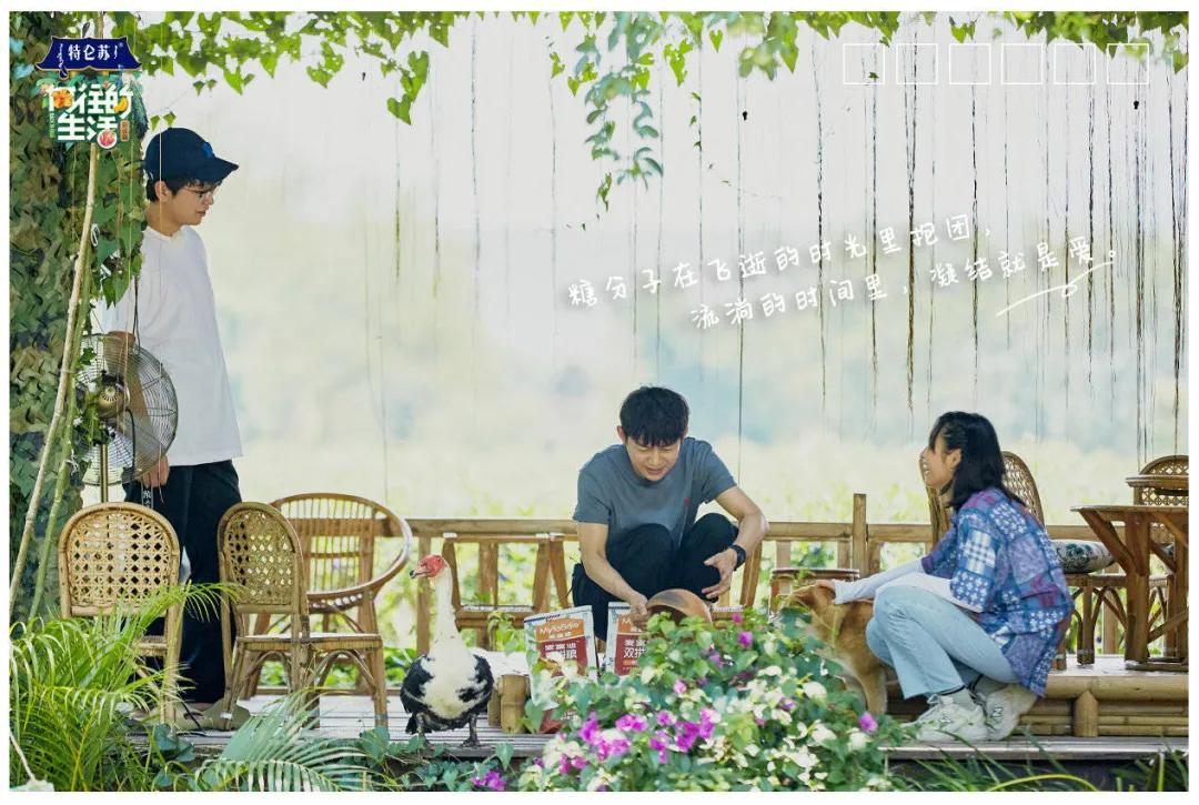 向往的生活1-6季文案,向往的生活一屋两人三餐四季文案