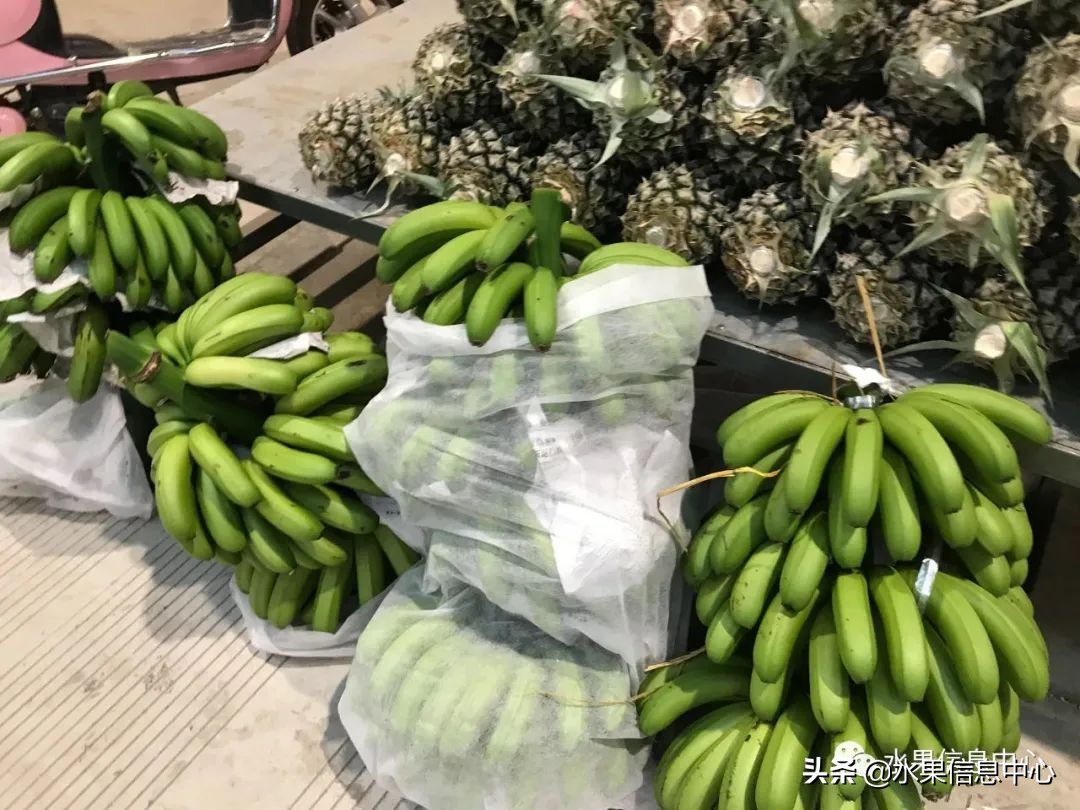 海南水果都有哪些品种图片及名称,海南水果上市时间表赶快收藏吧