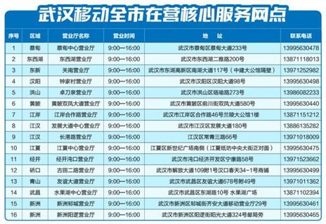 武汉市电信营业厅,武汉市电信设施建设和保护办法