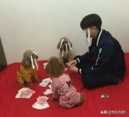 「娱乐播报君」检讨书——同学，有种下课你别逃