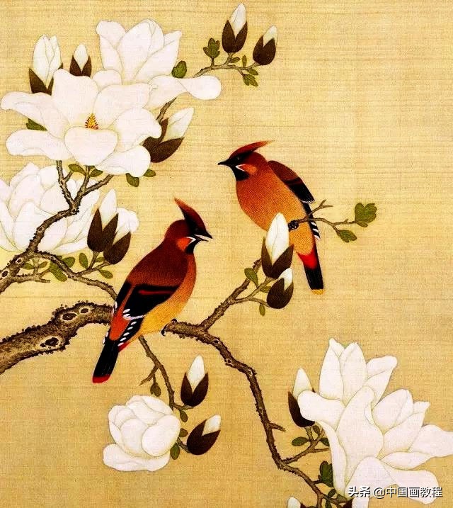 画羽毛的小技巧,根根分明的羽毛画法