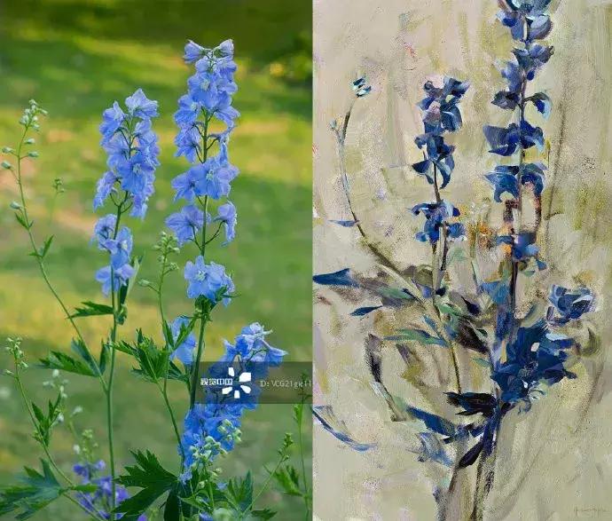 画皮画骨难画魂什么意思,画皮画骨难画心完整版