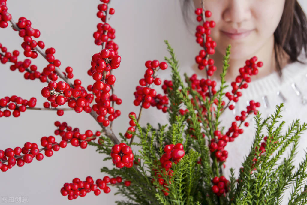 盆栽观果植物有哪些,观果植物具备哪些特征